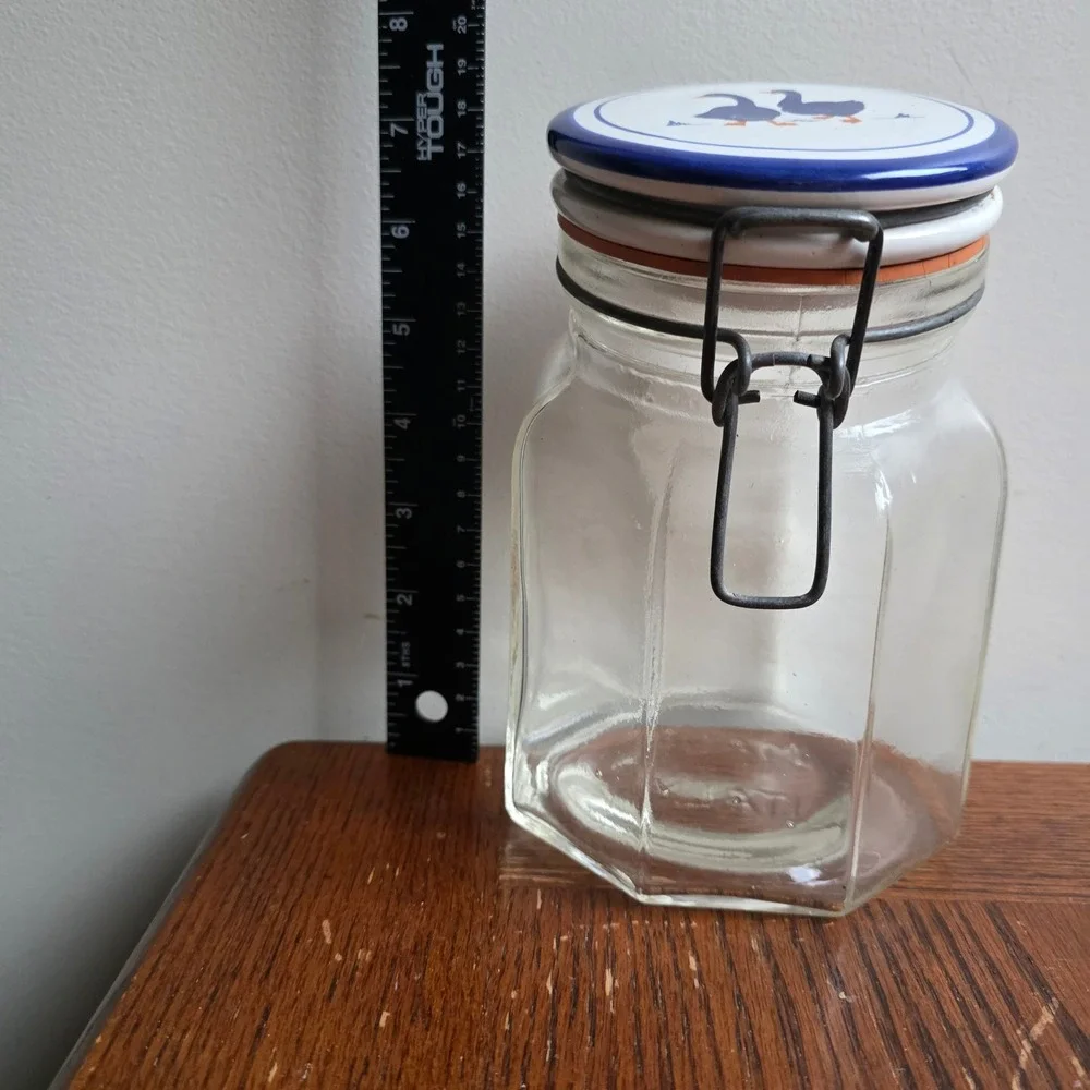 Vintage Italy Glass Goose Canister Jar Blue Geese Cottagecore Wire Bail Lid 7in